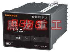 溫度表、數(shù)字顯示儀、濕度表