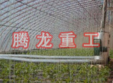大棚花卉供暖設(shè)備、大棚卉采暖設(shè)備、大棚花卉取暖設(shè)備