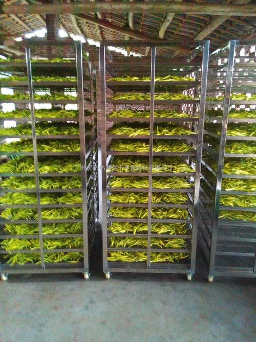 黃花菜烘干機(jī)、黃花菜烘干設(shè)備、黃花菜干燥機(jī)、黃花菜干燥設(shè)備、